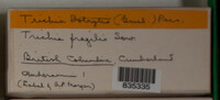 Image Associated With the Occurence